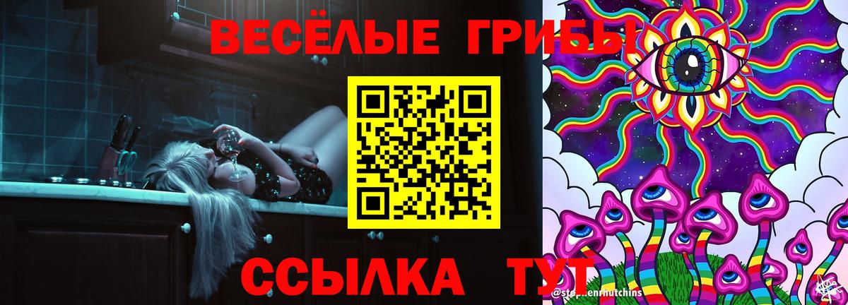 Магнитогорск  купить наркоту  Галлюциногенные грибы Psilocybe  Вход с VPN  Галлюциногенные грибы мухоморы 